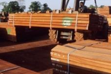FSC® certificate for Olam subsidiary reinstated
