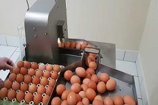 OVO-TECH  vacuum egg breaker