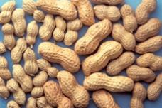 ADM subsidiary acquires stake in peanut shelling facility in South Africa