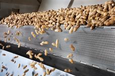 A new roasting solution for a trend with no end