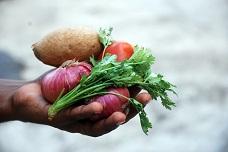 UAE farmers urged to use new technologies