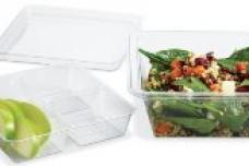 Placon unveils GoCubes disposable plastic food packaging
