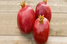 Pomegranate processing at POM Wonderful