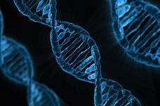 The DNA approach to tracking food