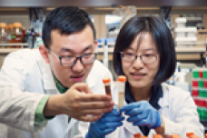 Fast way to predict antioxidant levels in chocolate