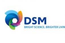 DSM is global leader in Dow Jones Sustainability World Index