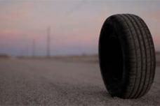 World Demand for Rubber to Reach 31.7 Million Metric Tons