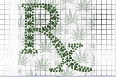 U.S. study: Medical marijuana does not increase use among teens