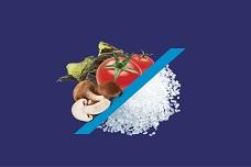 Salt of the Earth names distributor for West Europe
