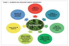 Seaweed offers growth prospects in snacking segment