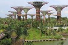 Singapore, FAO to improve food and nutrition security in SEA