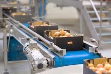 Sino-Pack presents top F&B solutions