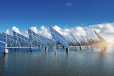 Songwon expands functional monomer range