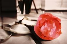 Global cosmeceuticals market continues to expand