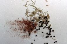 APAC market for flavors and enhancers on the rise