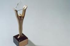 FrieslandCampina nabs Gold Stevie Award