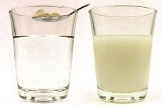 Ingredients for weight management