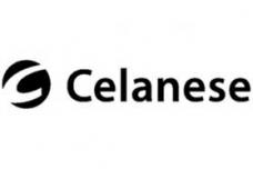 Innovative Celanese Polymers Help Automakers Create Designs to Improve Vehicle Appearance, Weight and Performance