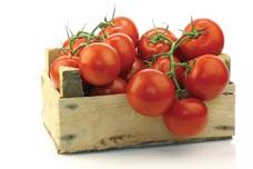 Italy: 2nd largest producer of tomatoes