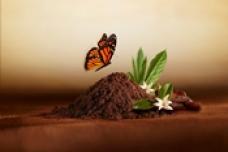 deZaan introduces non-alkalized cocoa powder