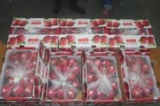 Biodegradable product extends produce shelf life