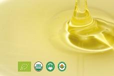 Studies show positive effects of Vivinal GOS prebiotic ingredient