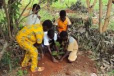 WCF, Mars see results of outreach program in Cote d'Ivoire