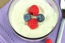 Probiotic strain is patented in S. Korea