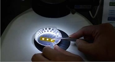 WACKER expands production plant for specialty silicones 